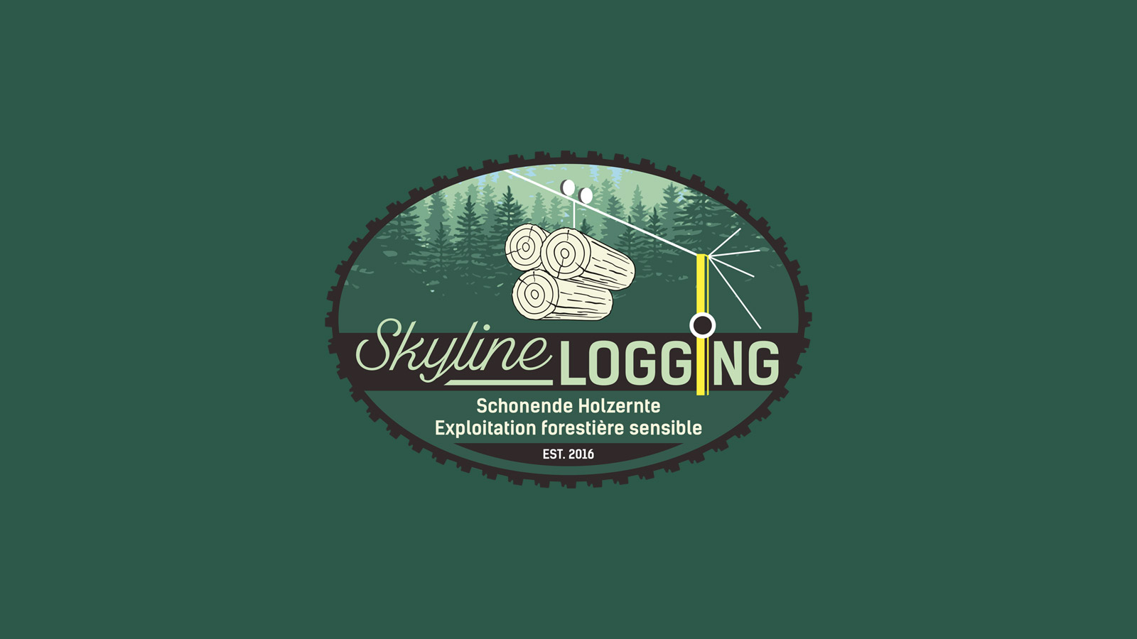 skyline-logging-bodenschonende_holzernte00.jpg