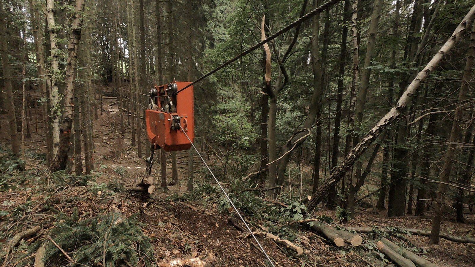 skyline-logging-bodenschonende_holzernte02.jpg