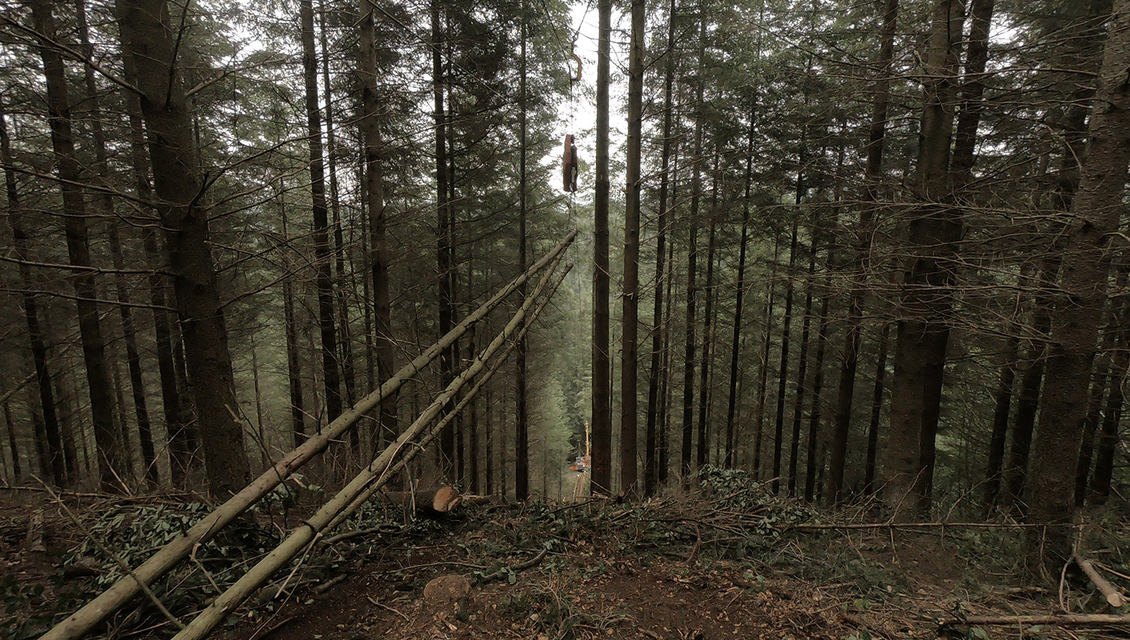 skyline-logging-bodenschonende_holzernte03.jpg